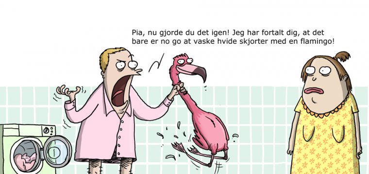 Vasket flamingo