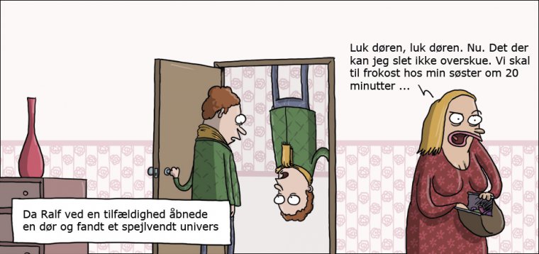 Spejlvendt univers