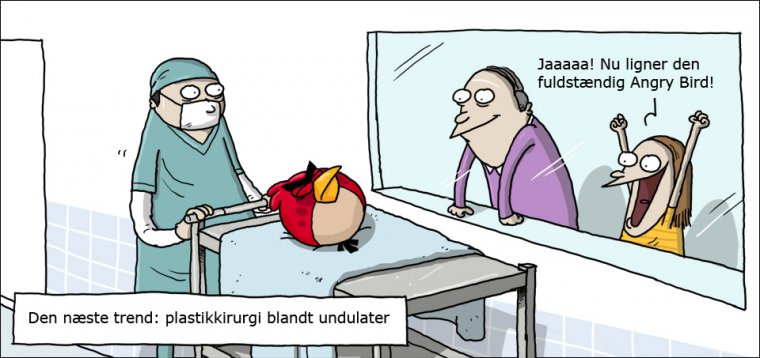 Plastikkirurgi blandt undulater