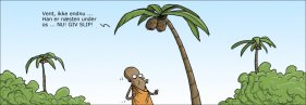 Ondskabsfulde kokosnødder