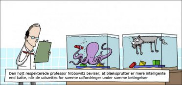 Blæksprutters intelligens