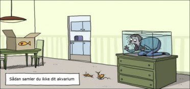 Sådan samler du ikke et akvarium