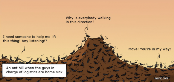 An ant hill when the guy in charge of logistics is home sick