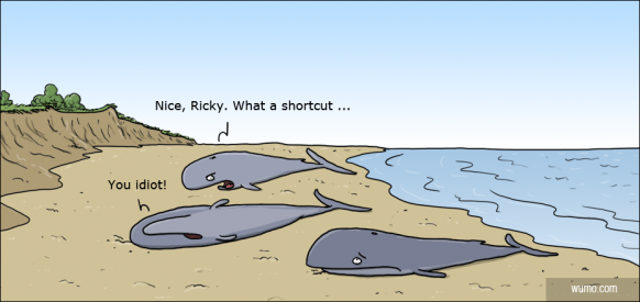 Whale shortcut