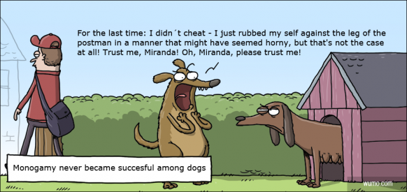Monogamy never became successful among dogs