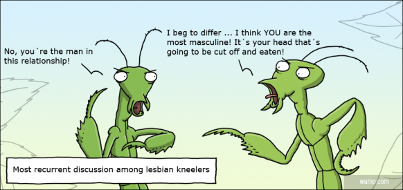 Most recurrent discussion among lesbian kneelers