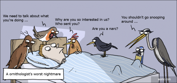 A ornithologist's worst nightmare