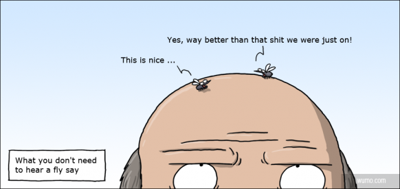 What you don't need to hear a fly say