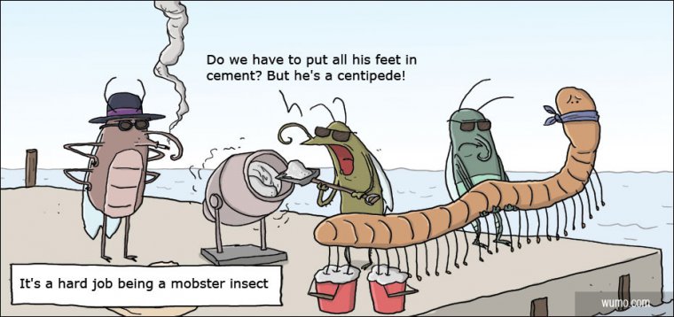 Mobster insects