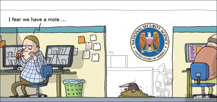 Mole at NSA