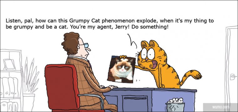 Who's the real grumpy cat?