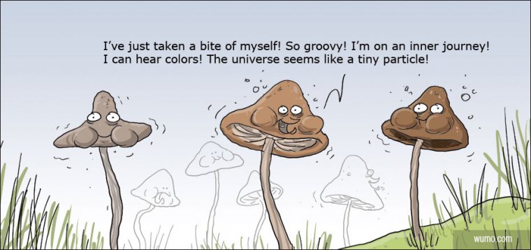 Mushroom on shrooms