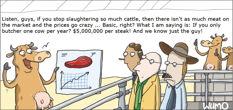 One cow per year