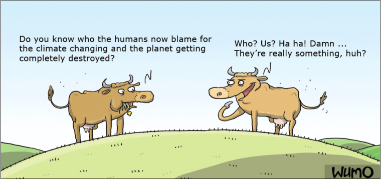 The cows are to blame!