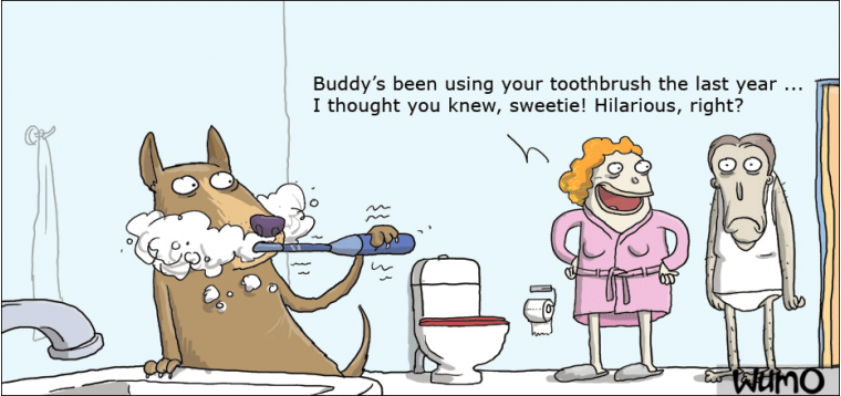 Buddy needs clean teeth too!