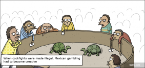 Mexican turtle fighting