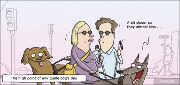 High point of any guide dog's day