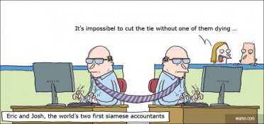 The siamese accountants