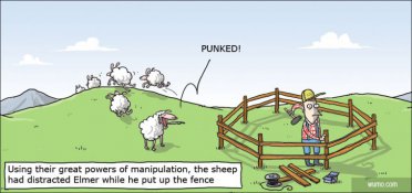 Fooled by some sheep