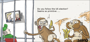 Primitive election