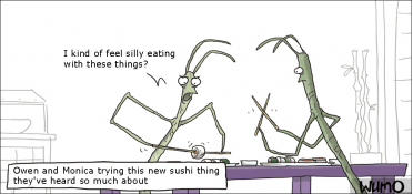 Stick insects eating sushi