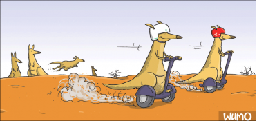 Segway kangaroos