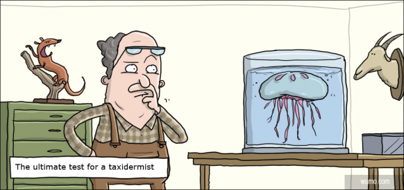 The ultimate test for a taxidermist