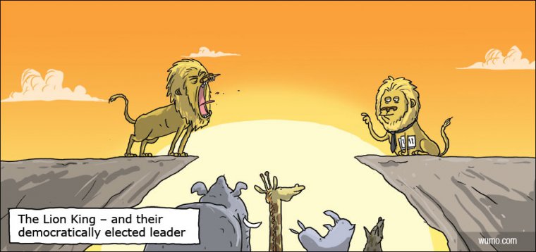 Democratically elected lion
